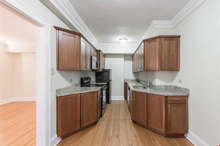 The Patricians Image 23