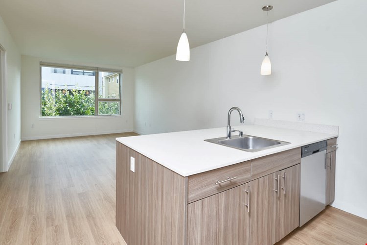 Springline  Image 11