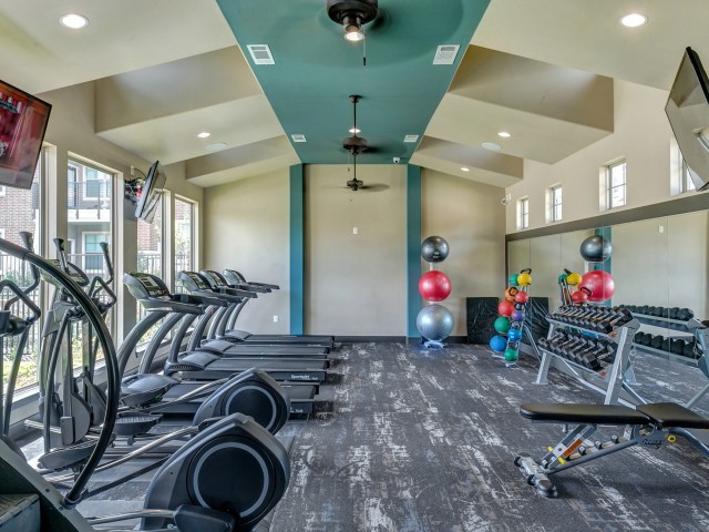 Luxury Apartments For Rent