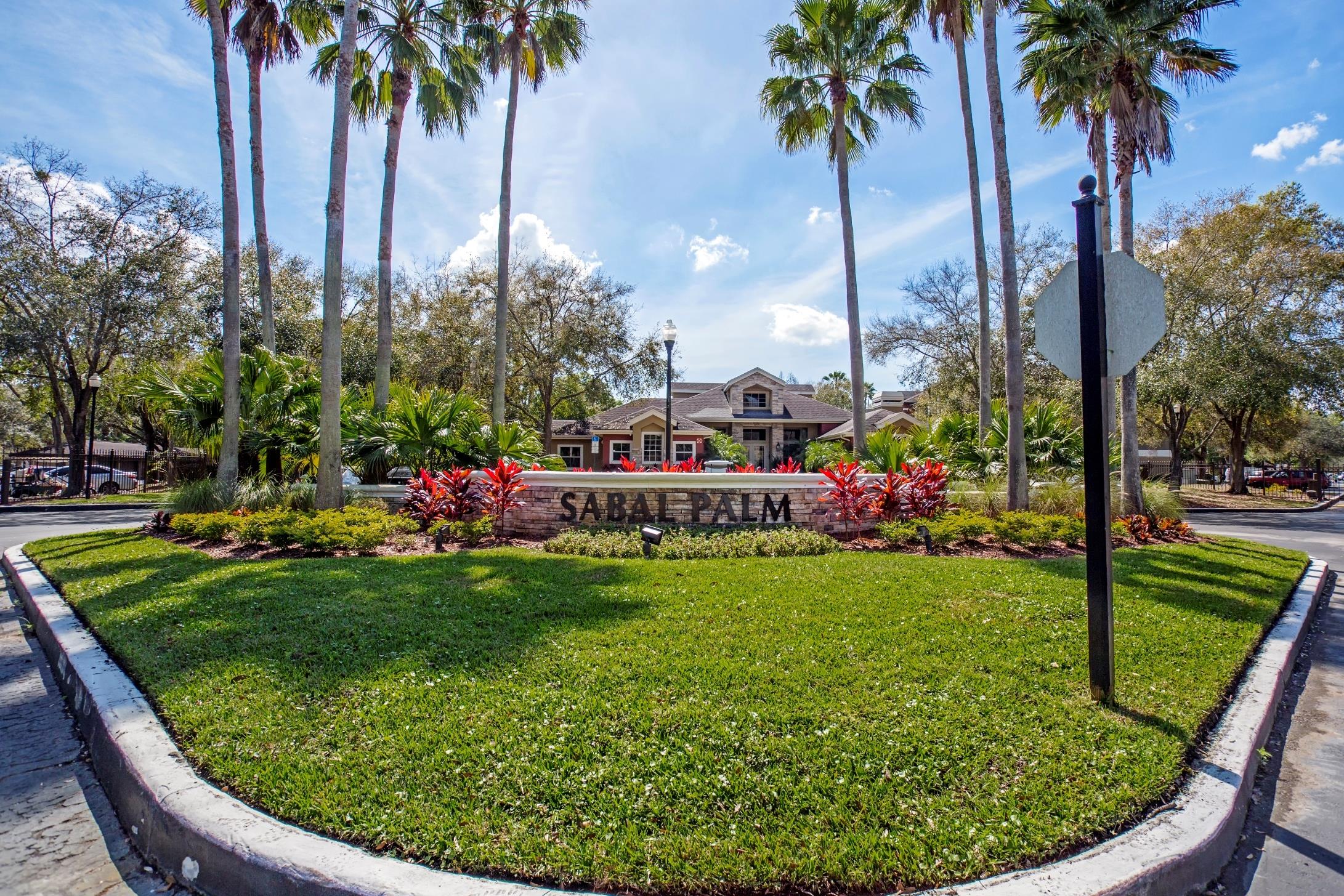 Sabal Palm at Carrollwood Image 23