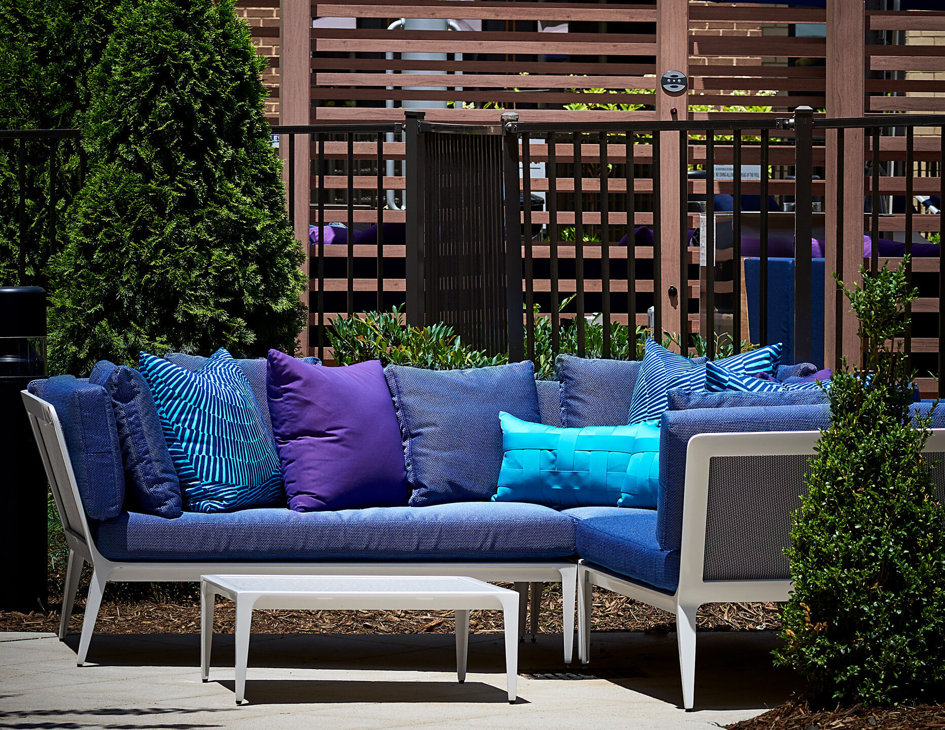 Selene at Southline Apartments Image 11