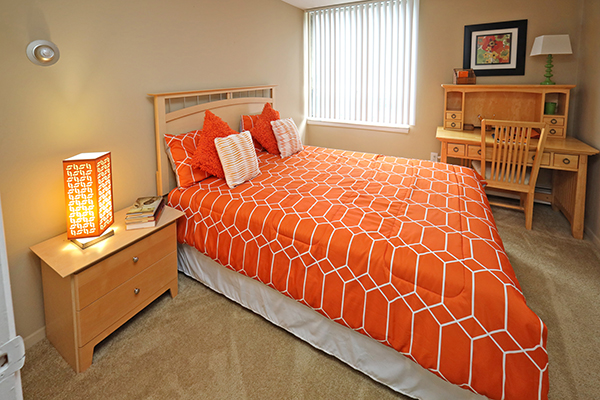 Water's Edge Image 7