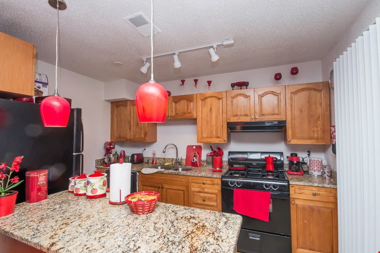 English Oaks Image 7