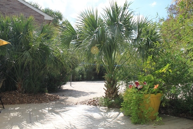 Arise St. Gregory's Beach Image 4