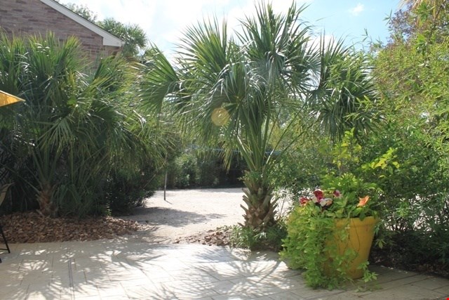 Arise St. Gregory's Beach Image 4