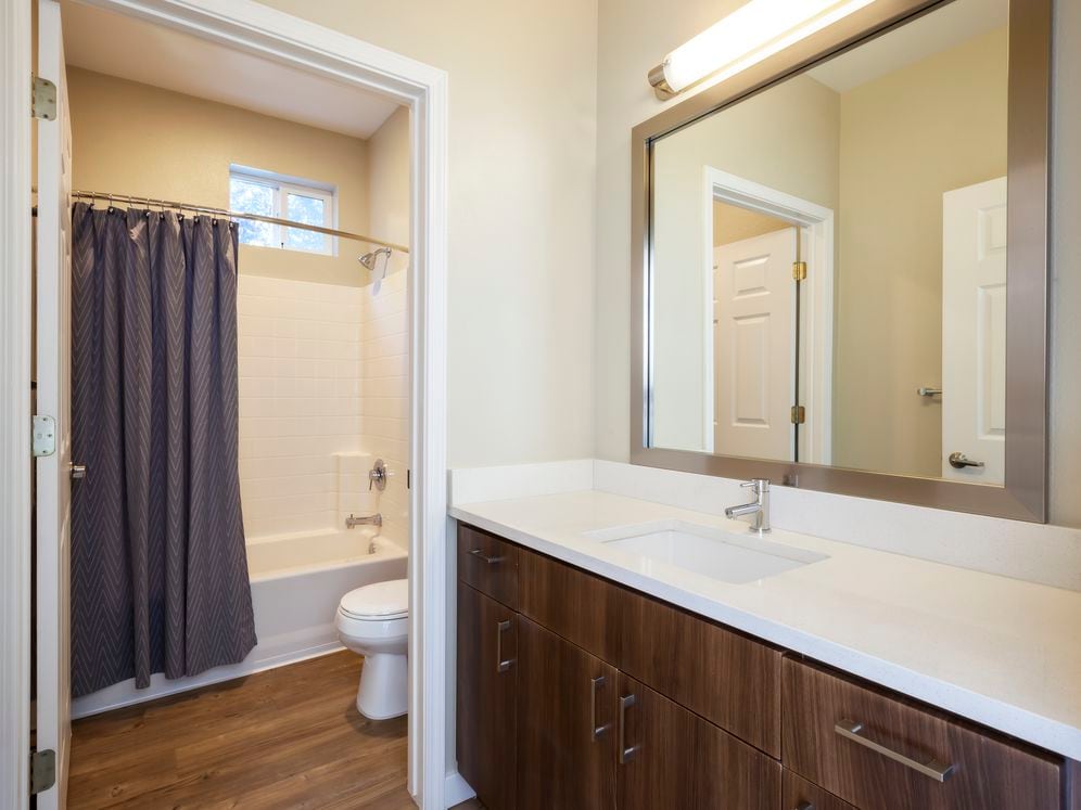 Premier Collection Bath with Quartz Countertops