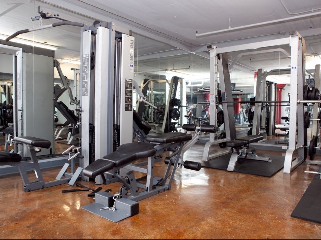 Weight training in the Fitness Center