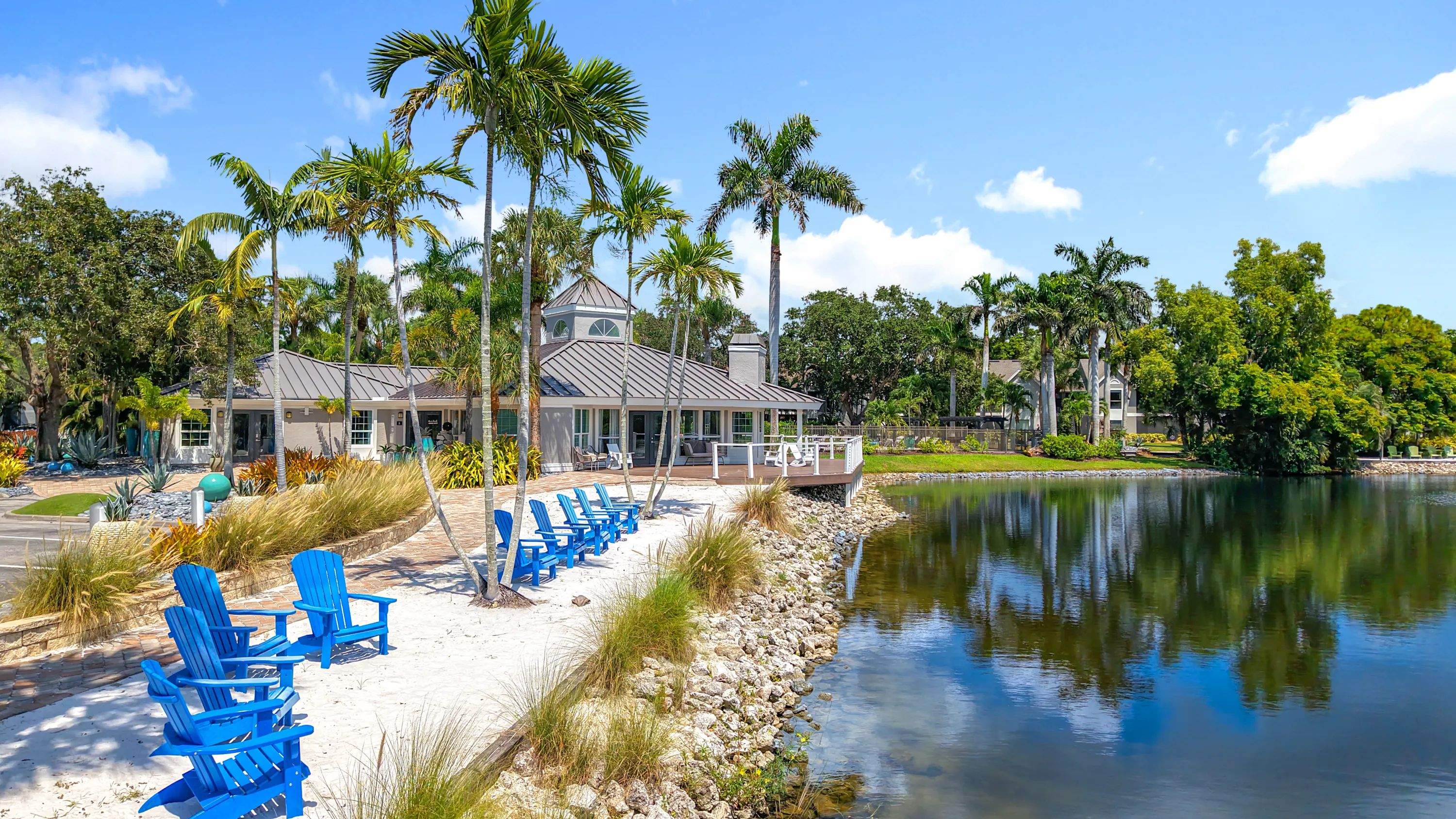 Soak up serene waterfront views from the private beach area featuring palm trees and lounge chairs.