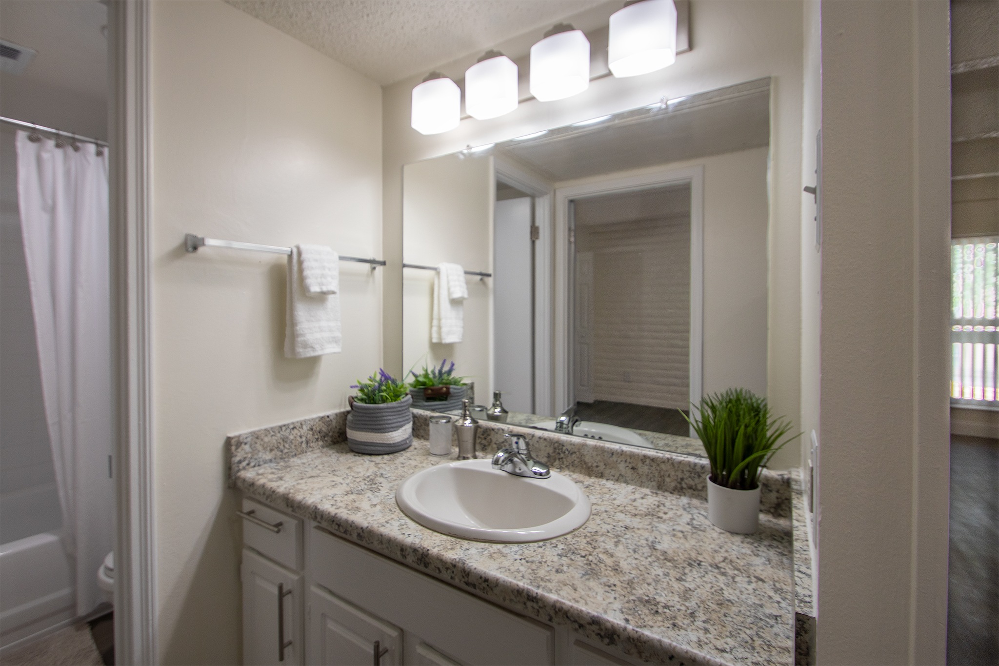 Harvard Square Image 4