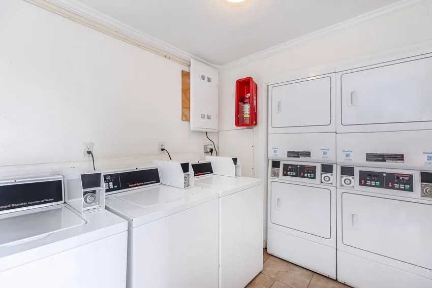 Spanish Breeze at Bachman Lake Image 7