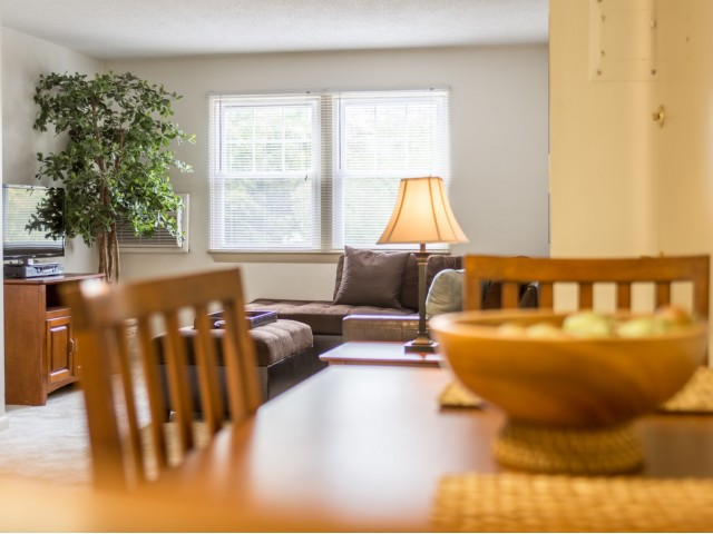 Kitchen and living area