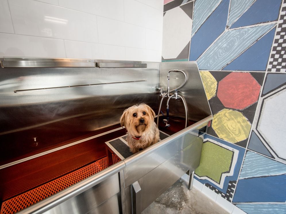 WAG Pet Spa bathing station