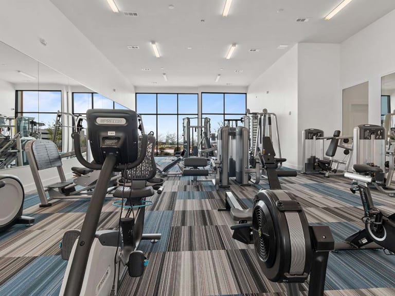 Reveal Skyline Image 6