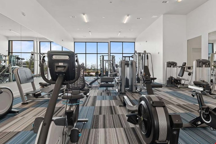 Reveal Skyline Image 6