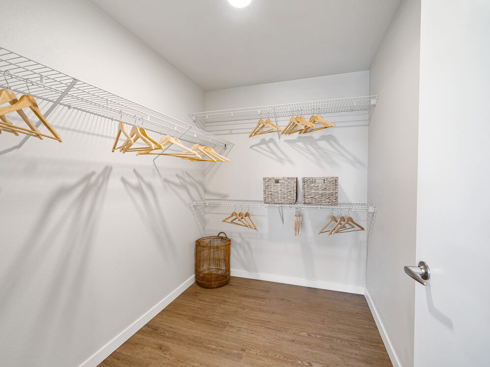 Finish Scheme I walk-in closet