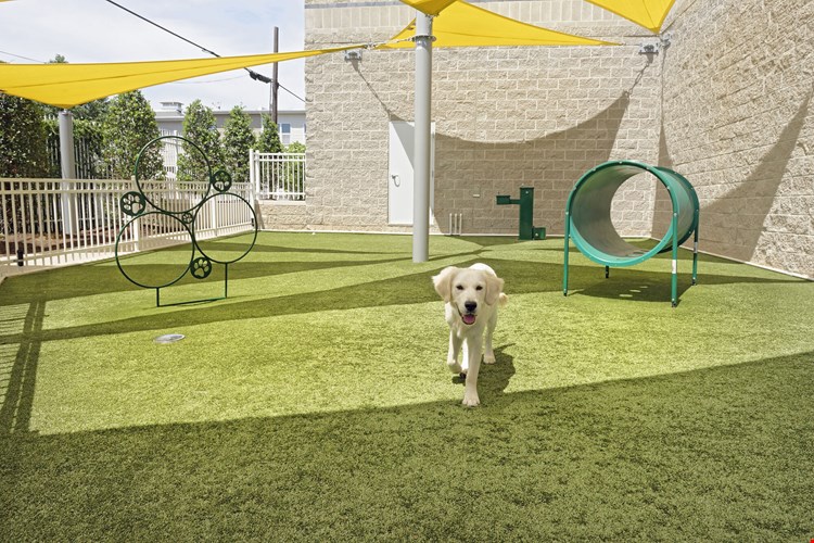 Camden South Capitol Image 22