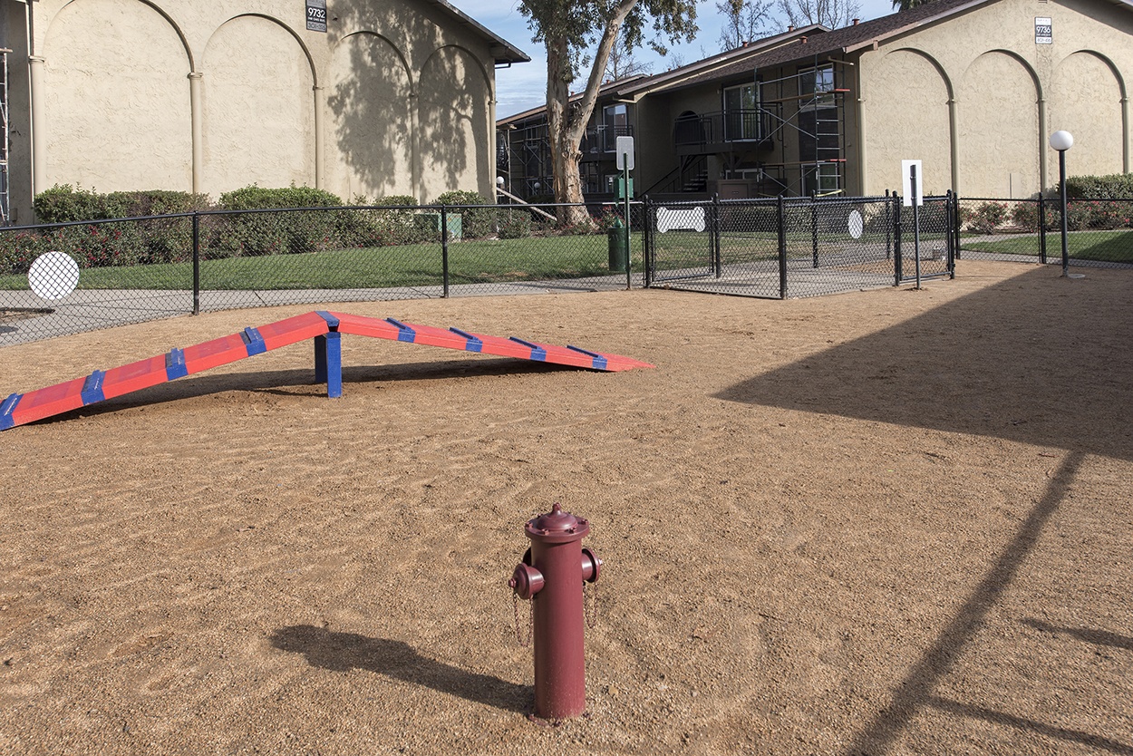 98Hundred Apartments Bark Park Area