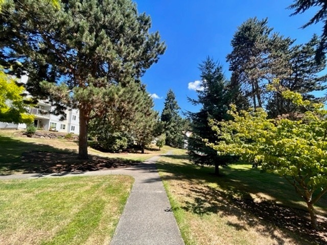 Villa Bonita Image 33