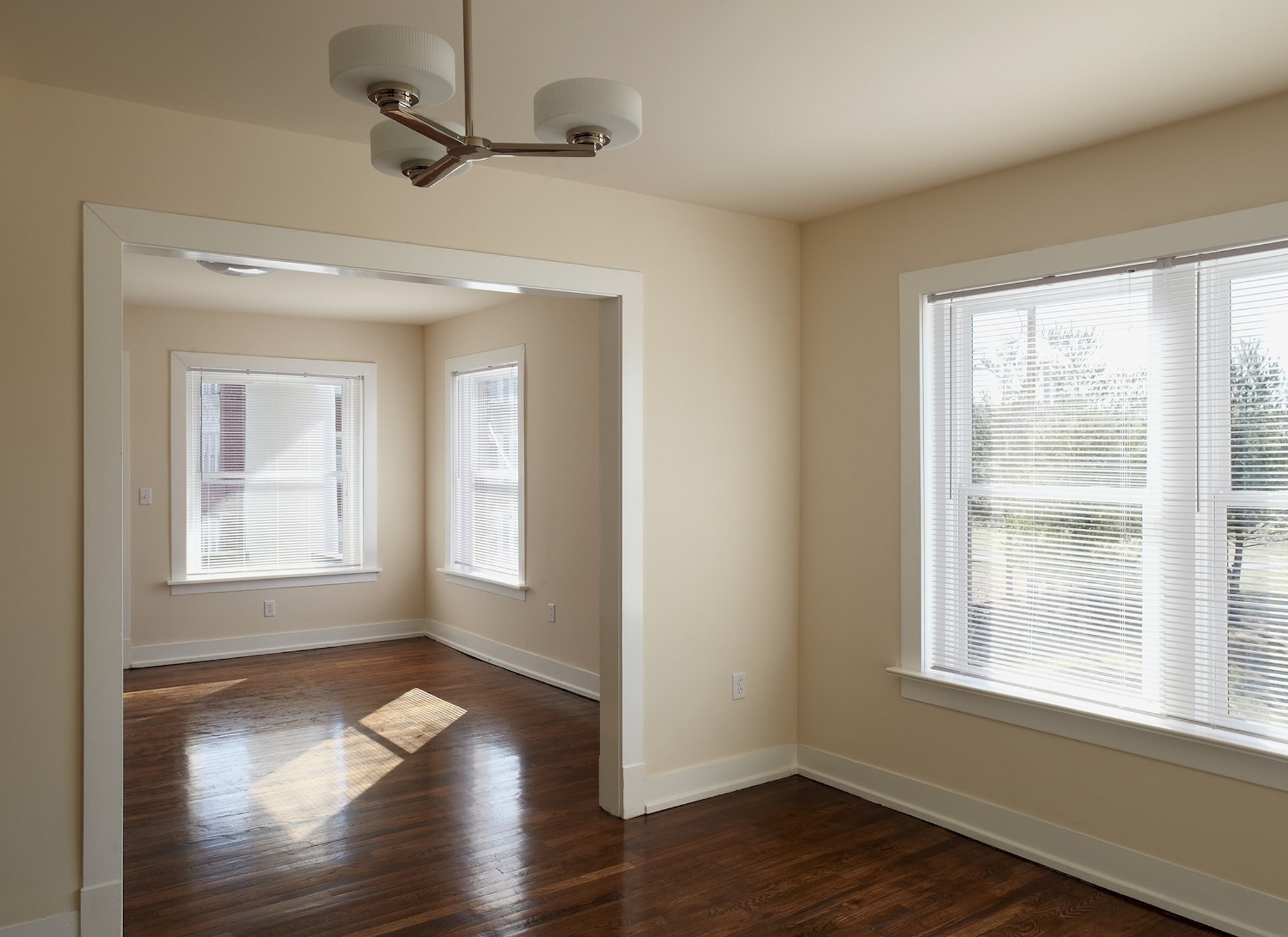 Paradise Flats Image 10