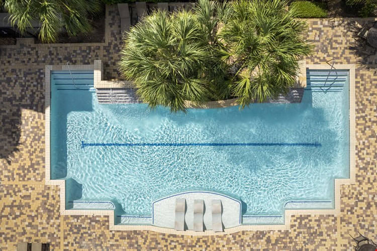 Camden Spring Creek Image 24