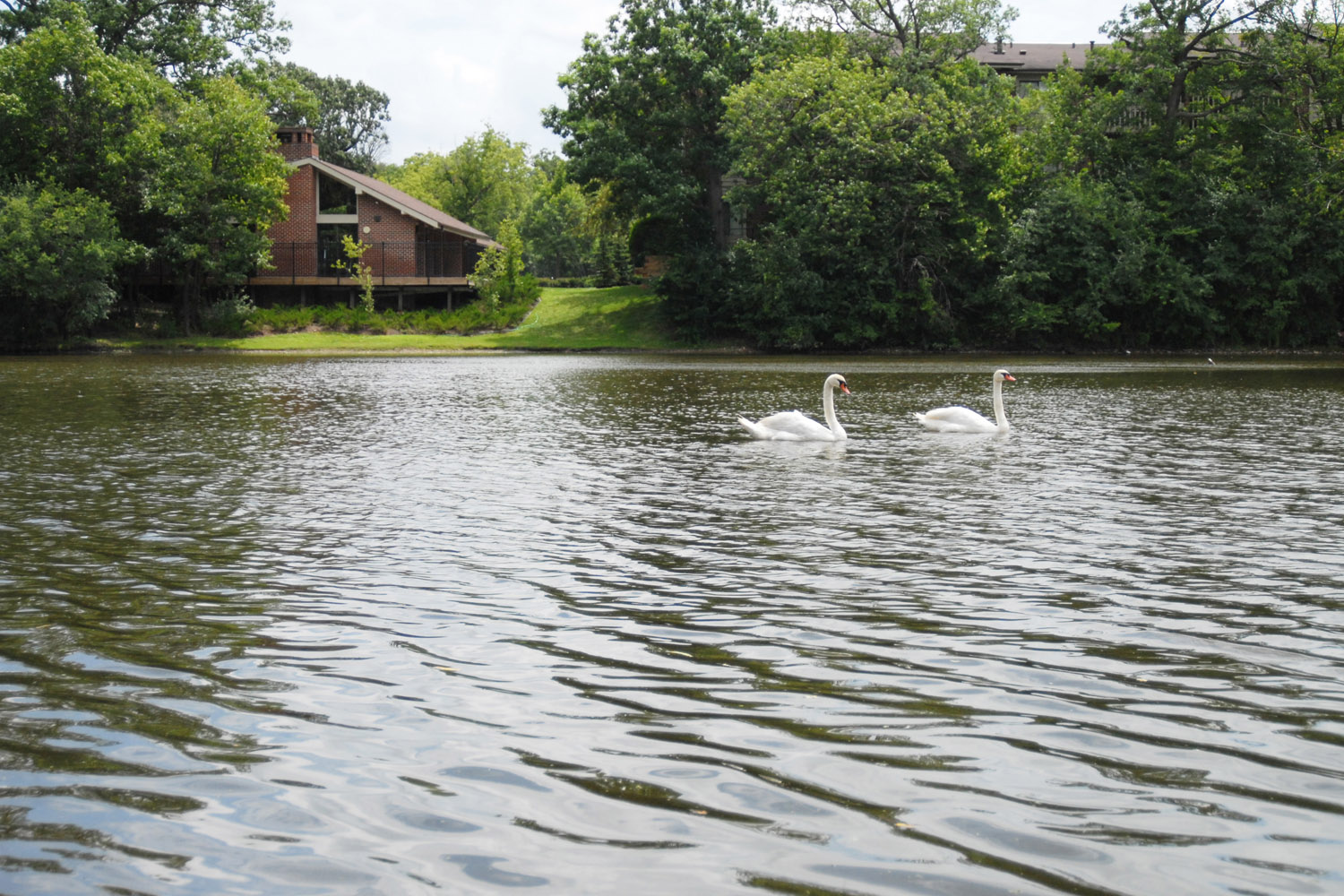 The Treehouse of Schaumburg Image 20