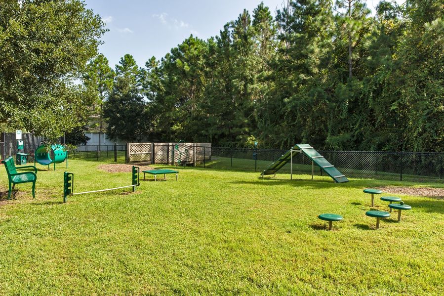 Arelia James Island Image 14