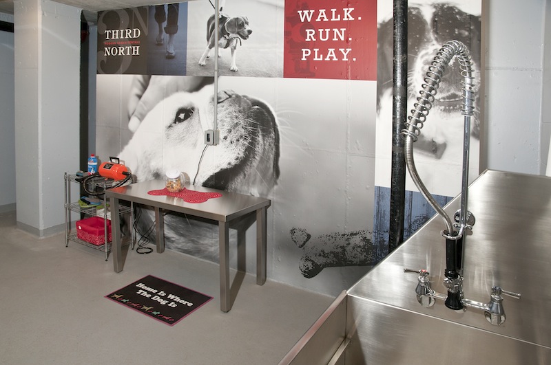 Third North Image 85