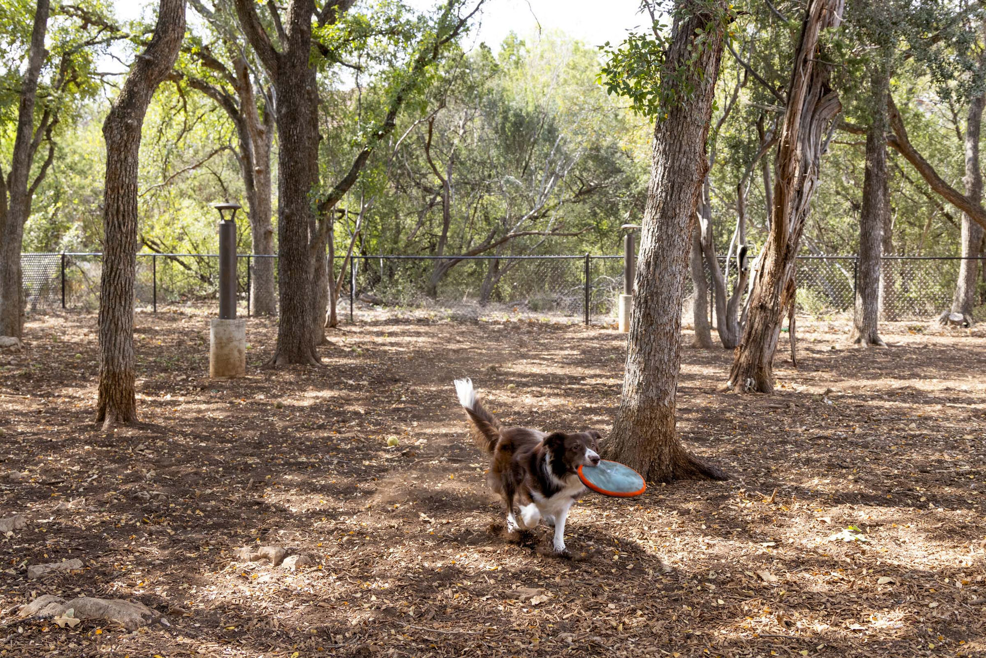 Camden Gaines Ranch Image 36