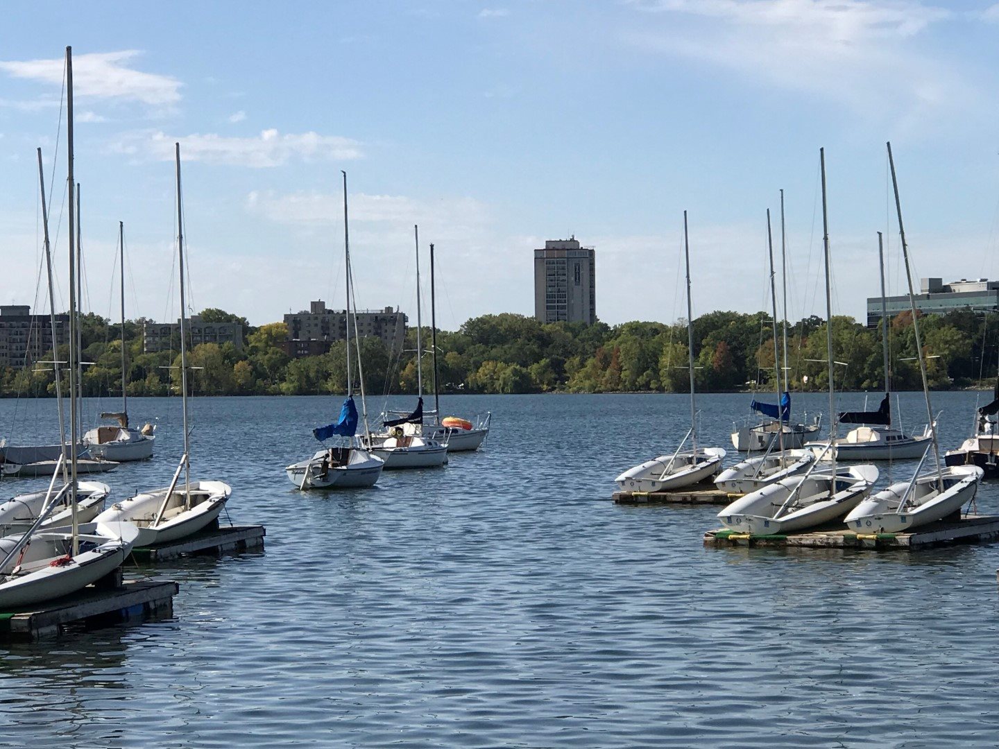 The Original Image 2