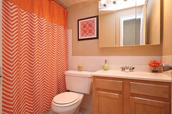 Water's Edge Image 8