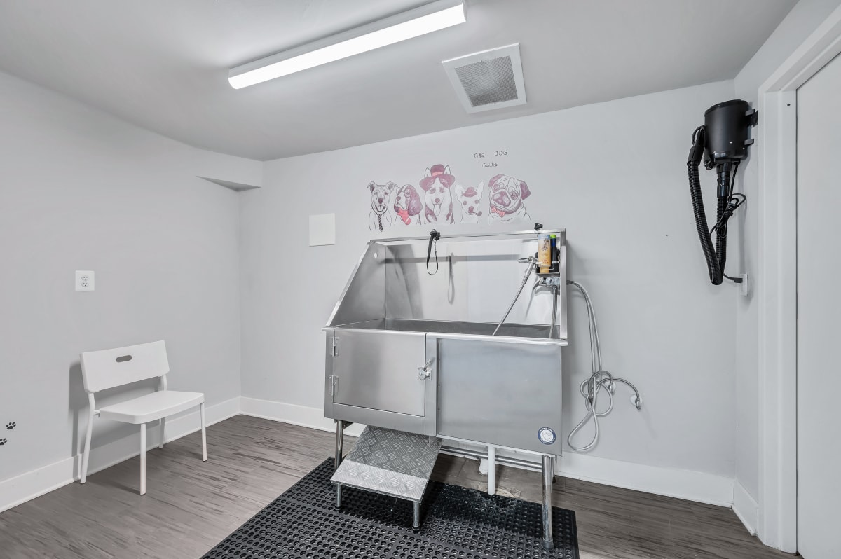 The Horizons Image 3