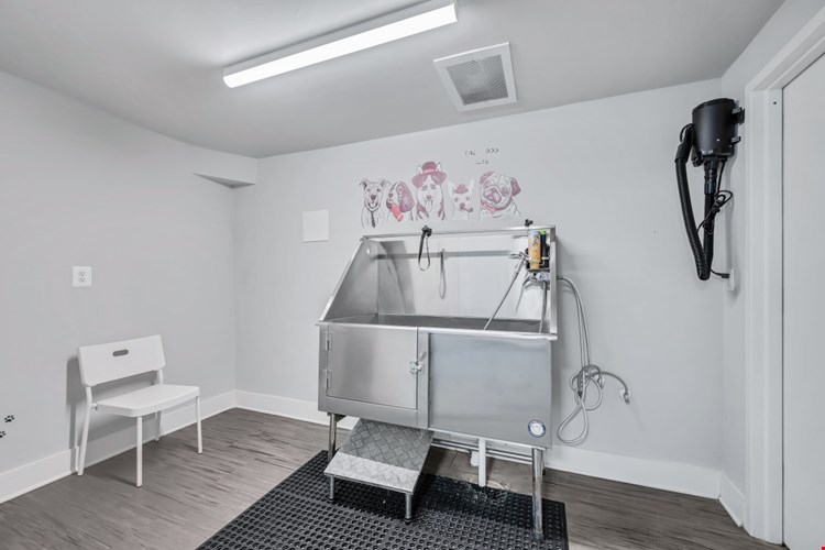 The Horizons Image 3