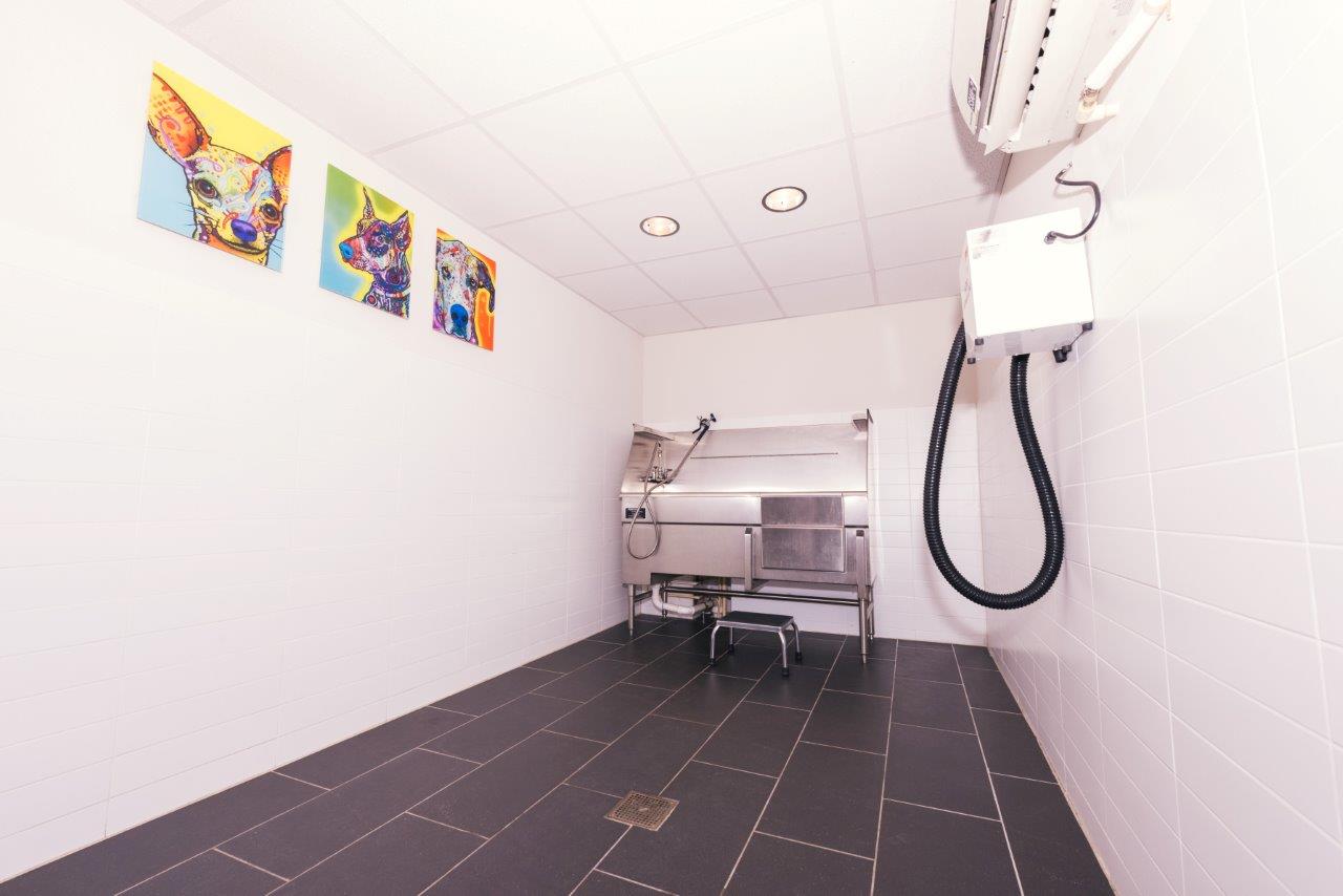 SkyHouse Buckhead Image 39