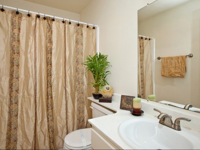 Elan Coco Palms Image 4