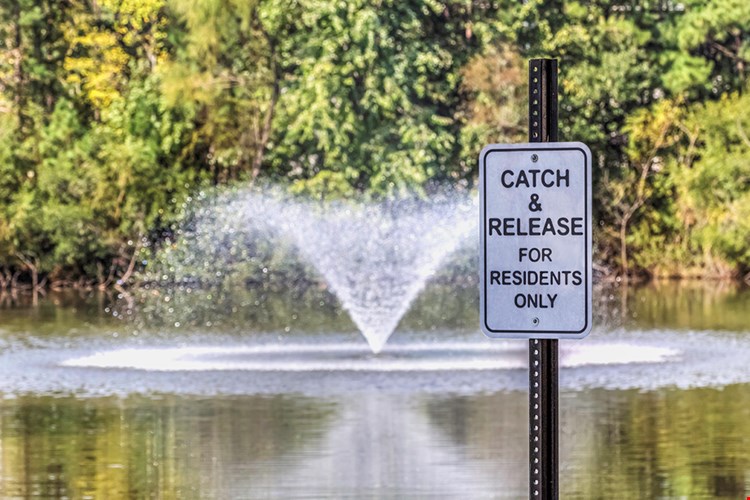 Camden Stonecrest Image 31