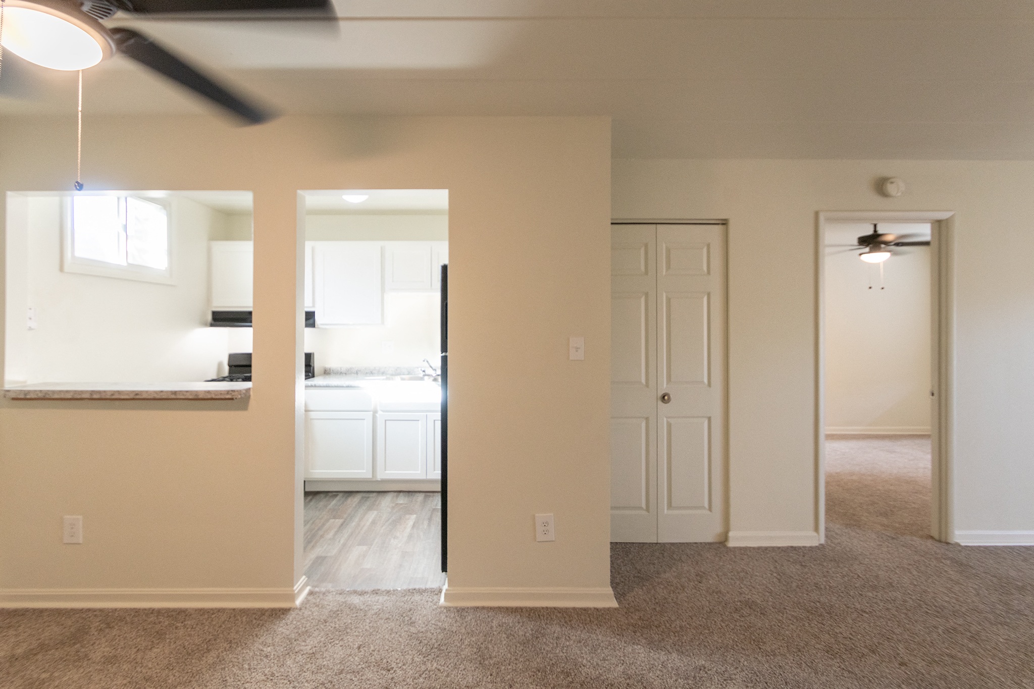 College Woods Image 33