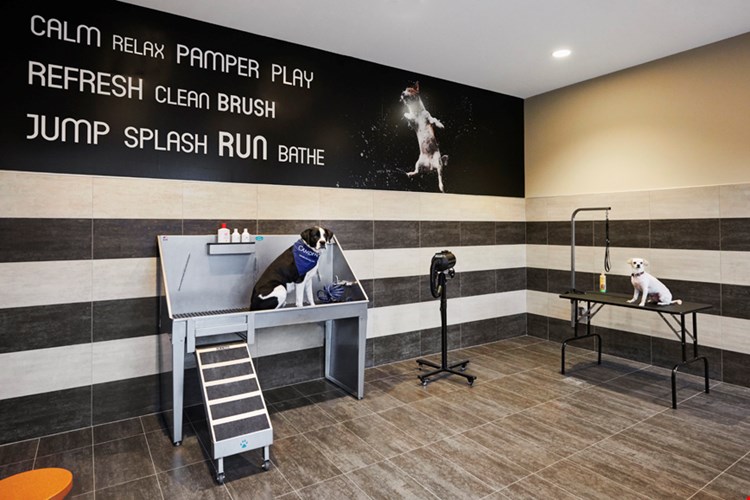 Camden McGowen Station Image 33