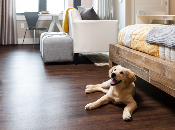 Camden NoMa Image 19