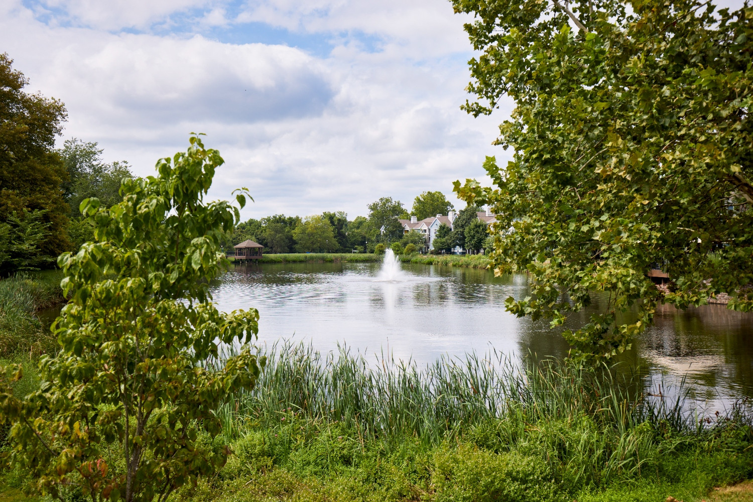 Lakeside Apartments Image 107