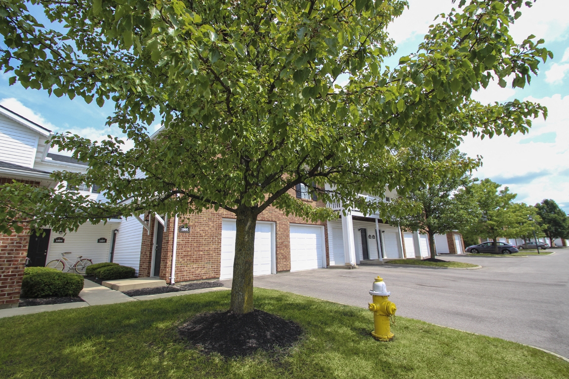 Washington Place Image 74