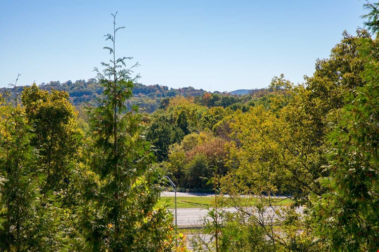 The Point at Still River Image 19