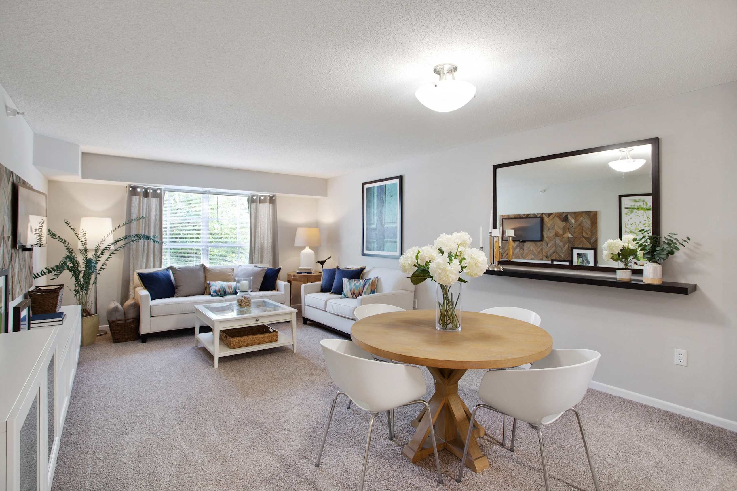 The Barrington Image 6