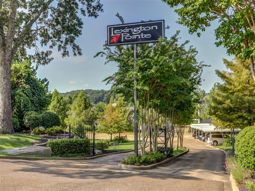 Lexington Pointe Image 3
