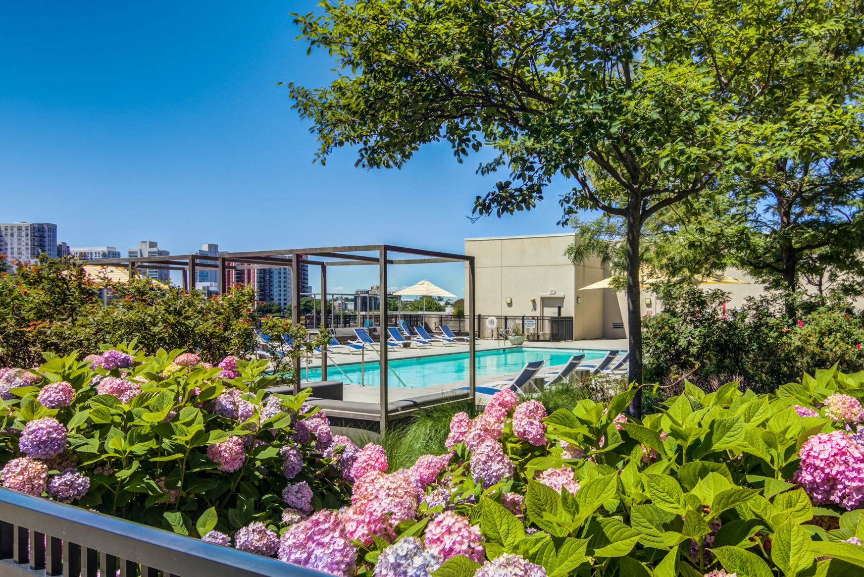 The Key at Yale and Towne Image 13