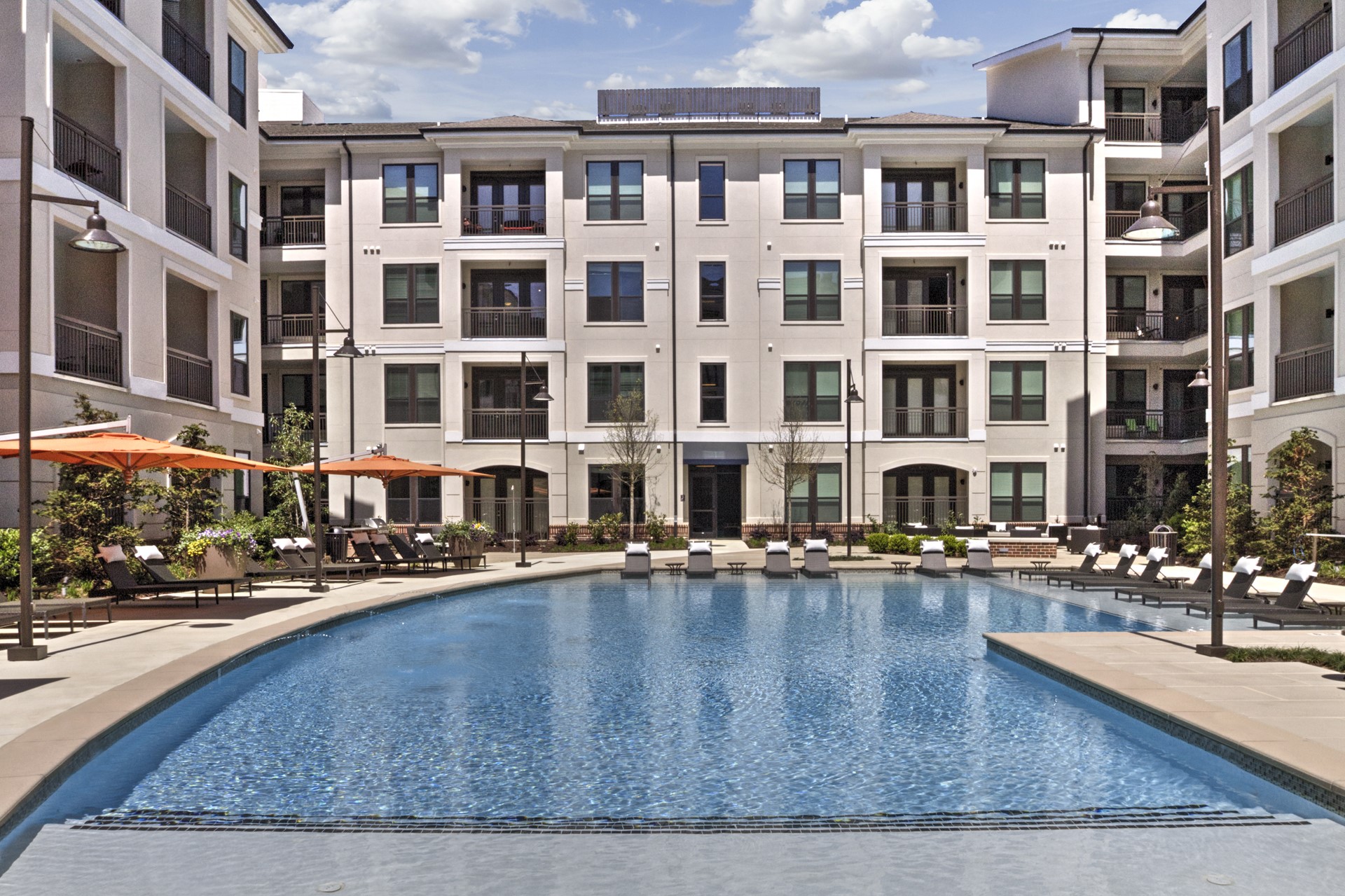 The Collection Image 4