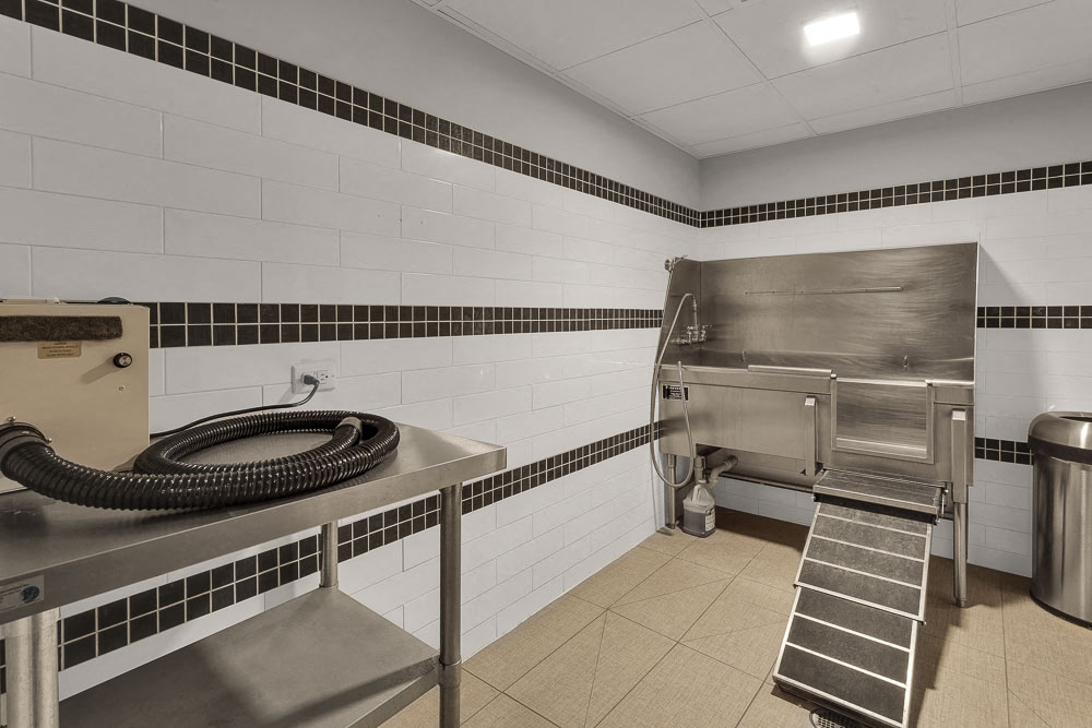 1044 Downing Image 16