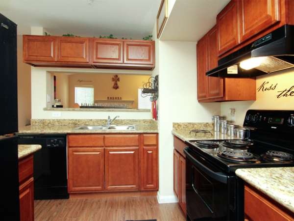 Forest Creek Image 5