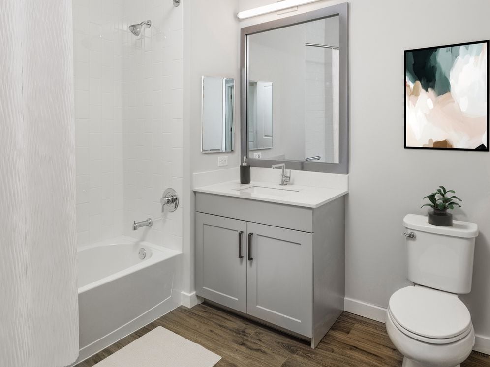 Bath with white quartz countertop, light grey cabinetry, and hard surface flooring