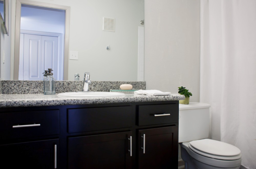 Upgraded Bathroom