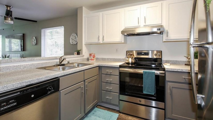 The Diplomat Image 4